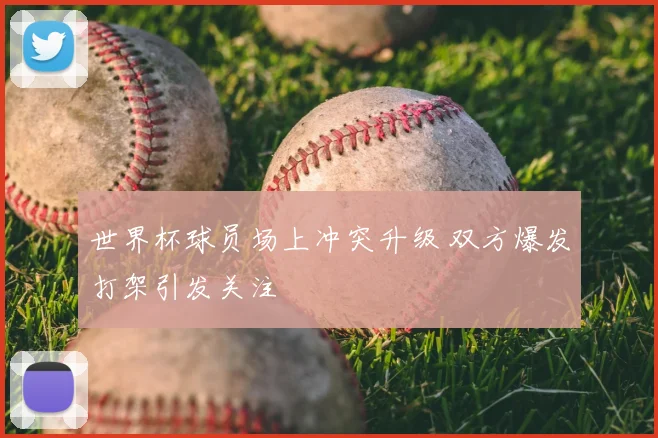 世界杯球员场上冲突升级 双方爆发打架引发关注