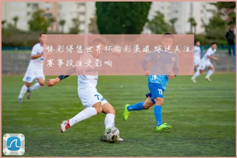 体彩停售世界杯购彩渠道 球迷关注赛事投注受影响